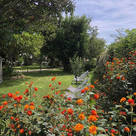 Villa Caterina B&B Procida Exterior photo