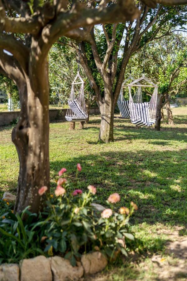 Villa Caterina B&B Procida Exterior photo